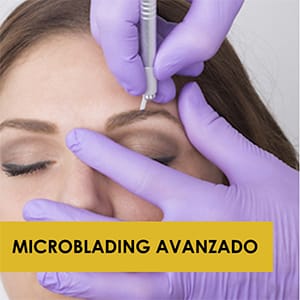 Masterclass Microblading Avanzado Chile